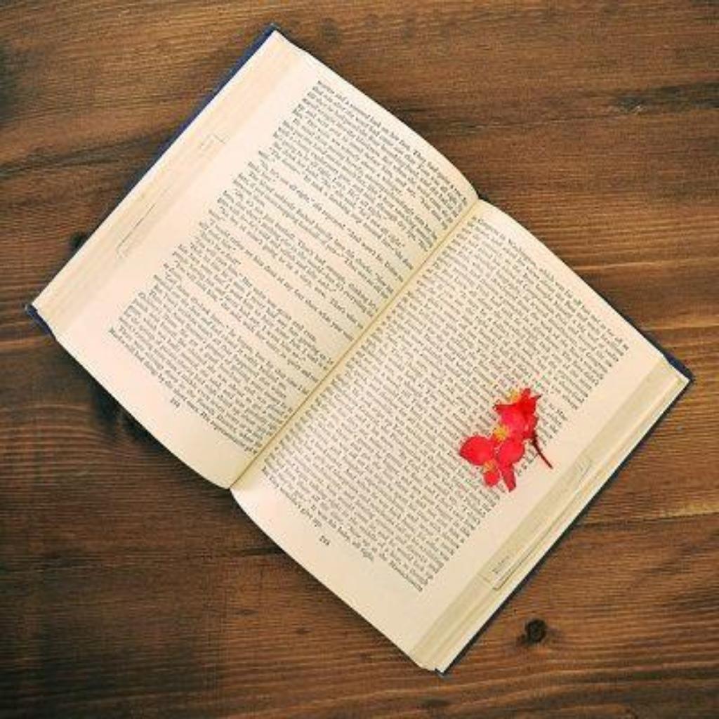 book-pixabay1705042_640